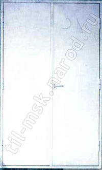 Дверь противопожарная двухпольная шлюзовая ДПШ 21-13 (глухая)